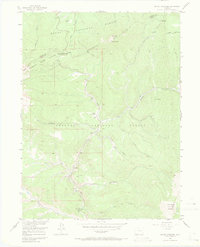 Radial Mountain 1956 topographic map thumbnail