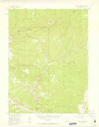 Radial Mountain 1956 topographic map thumbnail