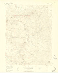 Radial Mountain 1956 topographic map thumbnail
