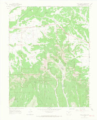 Point Lookout 1965 topographic map thumbnail