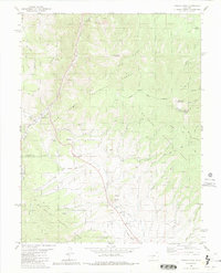 Poncha Pass 1980 topographic map thumbnail