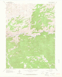 Poudre Park 1962 topographic map thumbnail