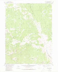 Piney Peak 1980 topographic map preview