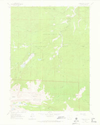 Pingree Park 1962 topographic map thumbnail