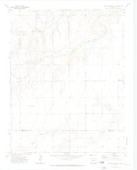 Plains Community 1971 topographic map preview