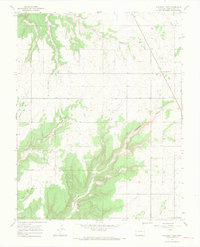 Pleasant View 1965 topographic map preview