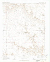 Pine Canyon 1972 topographic map thumbnail