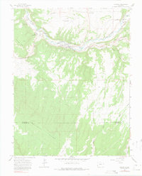 Naturita 1964 topographic map thumbnail
