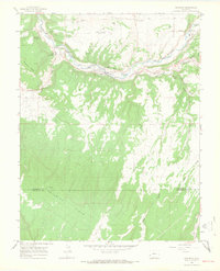 Naturita 1964 topographic map thumbnail
