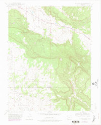 Naturita NW 1948 topographic map thumbnail