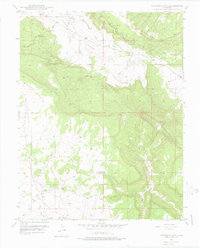 Naturita NW 1948 topographic map thumbnail