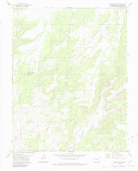 Negro Canyon 1979 topographic map thumbnail