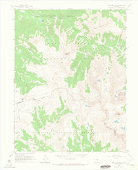 New York Peak 1960 topographic map thumbnail