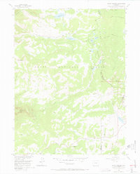 Mount Werner 1956 topographic map thumbnail