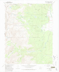 Mount Massive 1967 topographic map thumbnail