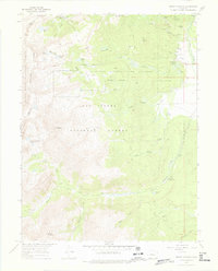 Mount Massive 1967 topographic map preview