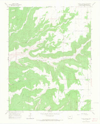 Woods Canyon 1965 topographic map thumbnail