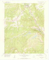 Woodland Park 1954 topographic map thumbnail