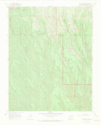 Wetherill Mesa 1966 topographic map thumbnail
