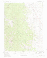 Whale Hill 1980 topographic map thumbnail