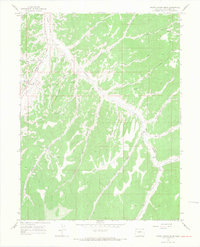 White Coyote Draw 1964 topographic map thumbnail