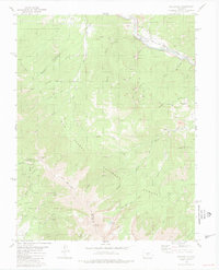 Wellsville 1980 topographic map thumbnail