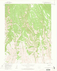 West Elk Peak SW 1954 topographic map thumbnail