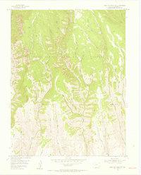 West Elk Peak SW 1954 topographic map thumbnail