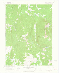 West Fork Lake 1962 topographic map preview