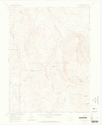 West Fork Lake 1962 topographic map thumbnail