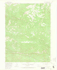 Walton Peak 1956 topographic map thumbnail