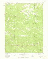 Walton Peak 1956 topographic map thumbnail