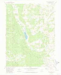 Tyler Mountain 1980 topographic map thumbnail