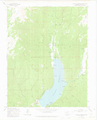 Vallecito Reservoir 1964 topographic map thumbnail