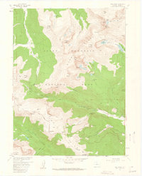Trail Ridge 1957 topographic map thumbnail