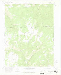 Triangle Park 1966 topographic map preview
