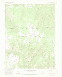 Triangle Park 1966 topographic map thumbnail