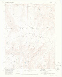 Triangle Park 1966 topographic map preview