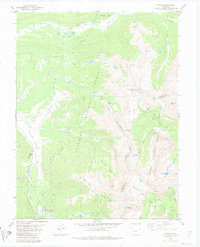 Tincup 1982 topographic map thumbnail