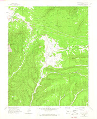 Thompson Park 1963 topographic map thumbnail
