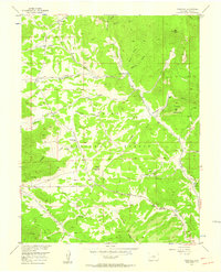 Tarryall 1956 topographic map thumbnail