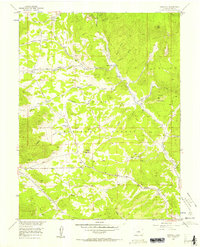 Tarryall 1956 topographic map preview