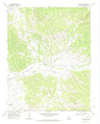 Taylor Ranch 1967 topographic map thumbnail