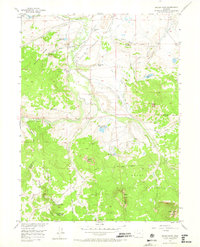 Spicer Peak 1956 topographic map thumbnail