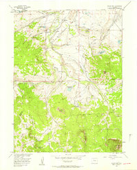 Spicer Peak 1956 topographic map thumbnail