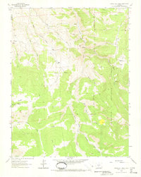 Spring Hill Creek 1962 topographic map thumbnail