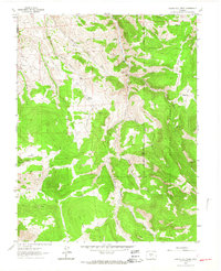 Spring Hill Creek 1962 topographic map thumbnail