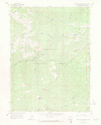 South Bald Mountain 1967 topographic map thumbnail