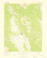 Buena Vista 1955 topographic map thumbnail