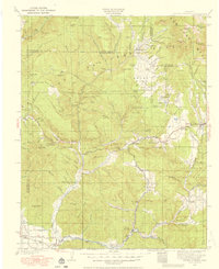 Pagosa Springs 1924 topographic map thumbnail
